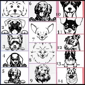 Custom dog apparel